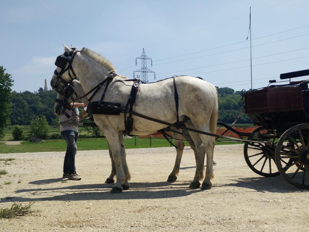 La Siesta Ξενοδοχείο Villafranca di Verona Εξωτερικό φωτογραφία
