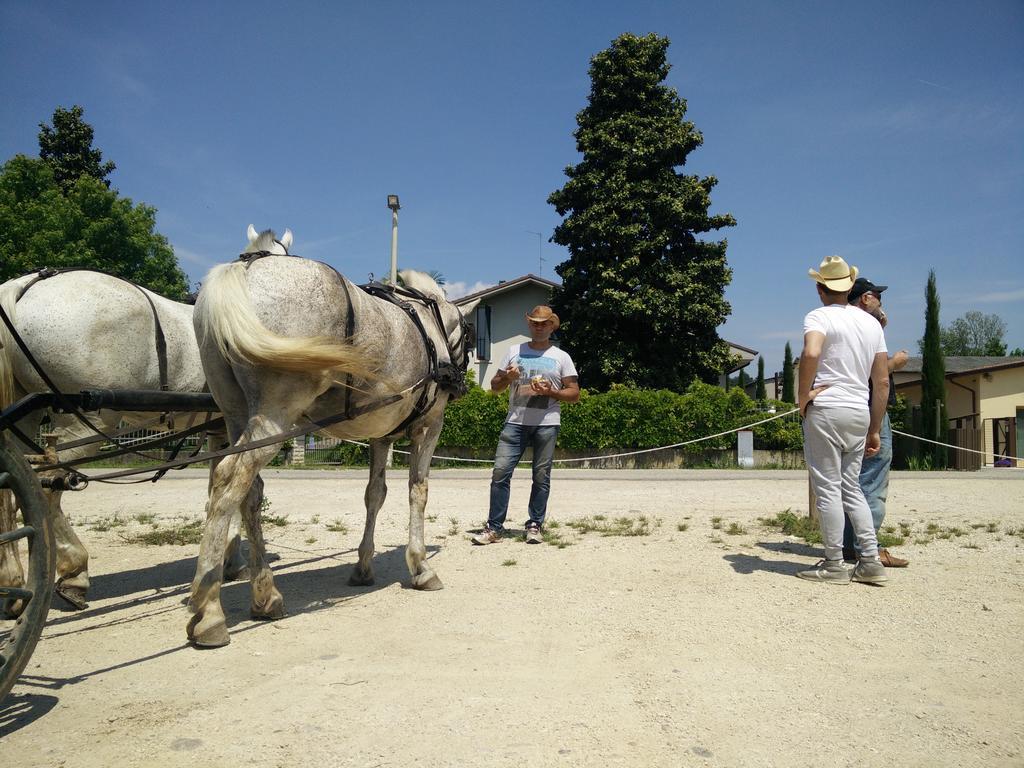La Siesta Ξενοδοχείο Villafranca di Verona Εξωτερικό φωτογραφία