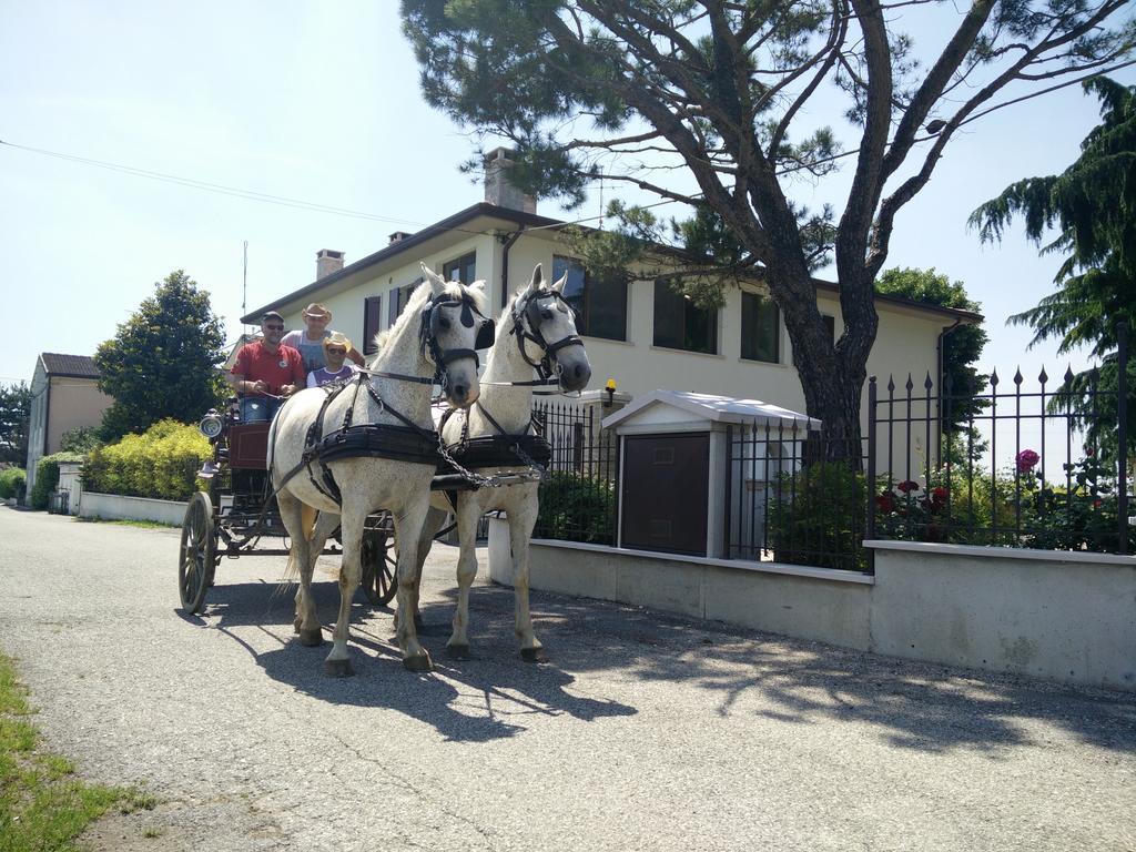 La Siesta Ξενοδοχείο Villafranca di Verona Εξωτερικό φωτογραφία