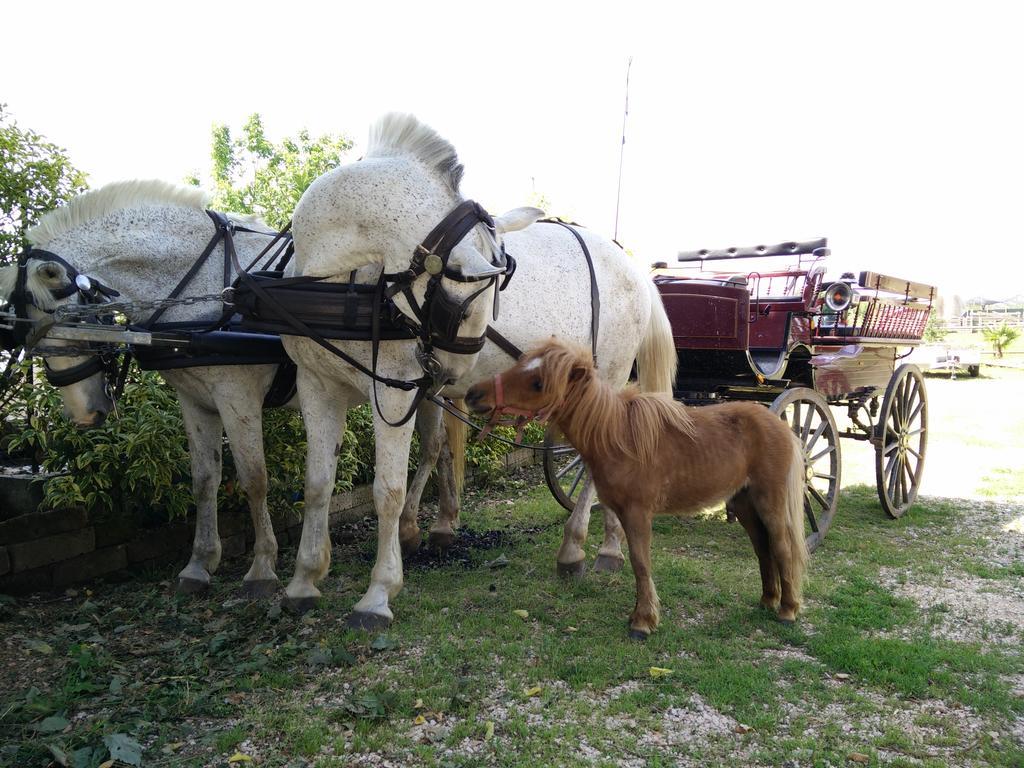 La Siesta Ξενοδοχείο Villafranca di Verona Εξωτερικό φωτογραφία