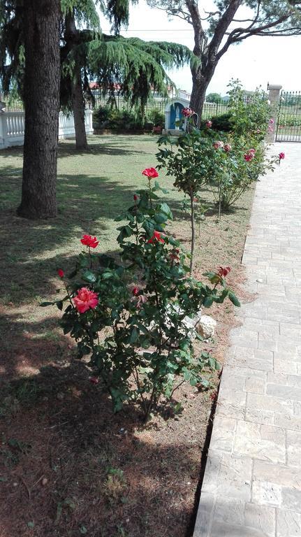 La Siesta Ξενοδοχείο Villafranca di Verona Εξωτερικό φωτογραφία