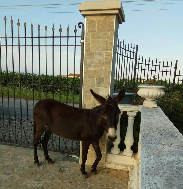 La Siesta Ξενοδοχείο Villafranca di Verona Εξωτερικό φωτογραφία