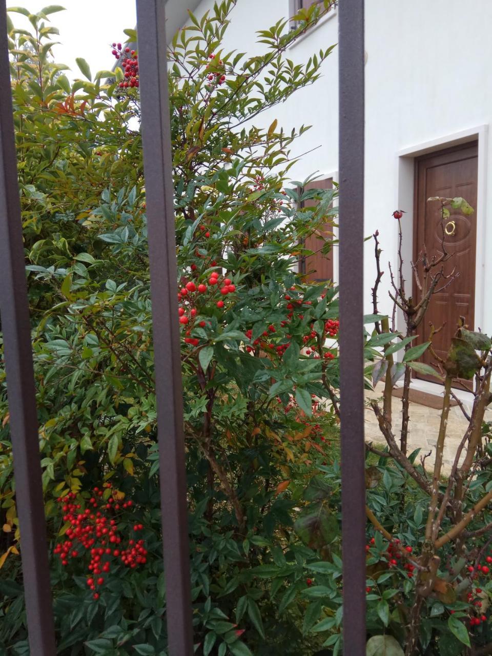 La Siesta Ξενοδοχείο Villafranca di Verona Εξωτερικό φωτογραφία